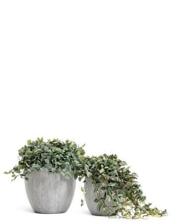 Комплект искусственных растений в кашпо Treez №113 Комплект искусственных растений в кашпо Treez №113