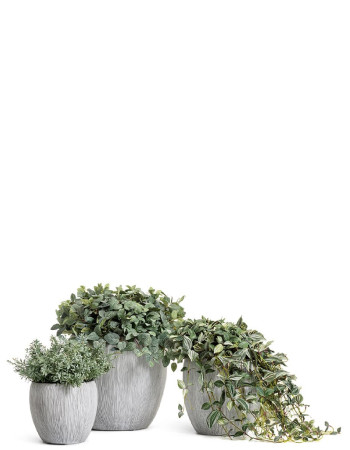 Комплект искусственных растений в кашпо Treez №112